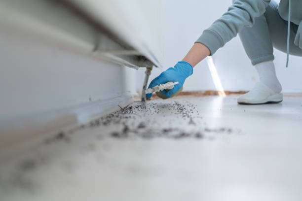 Best Pest Inspection Near Me  in San Bernardino, CA